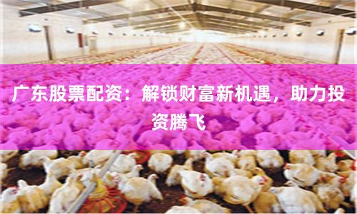 广东股票配资：解锁财富新机遇，助力投资腾飞